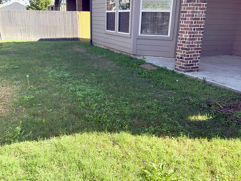 1513 Toucan Dr — Photo 22