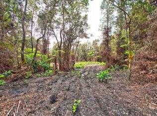 3rd St LOT 306, Volcano, HI 96785
