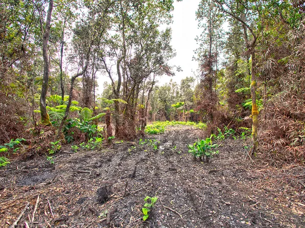 3rd St Lot 306, Volcano, HI 96785