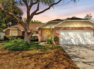 12224 Wildbrook Dr, Riverview, FL 33569