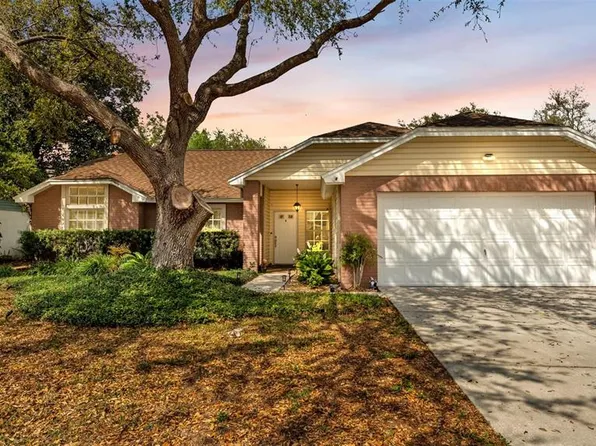 12224 Wildbrook Dr, Riverview, FL 33569