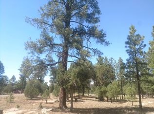 4403 Starlight Dr, Happy Jack, AZ 86024