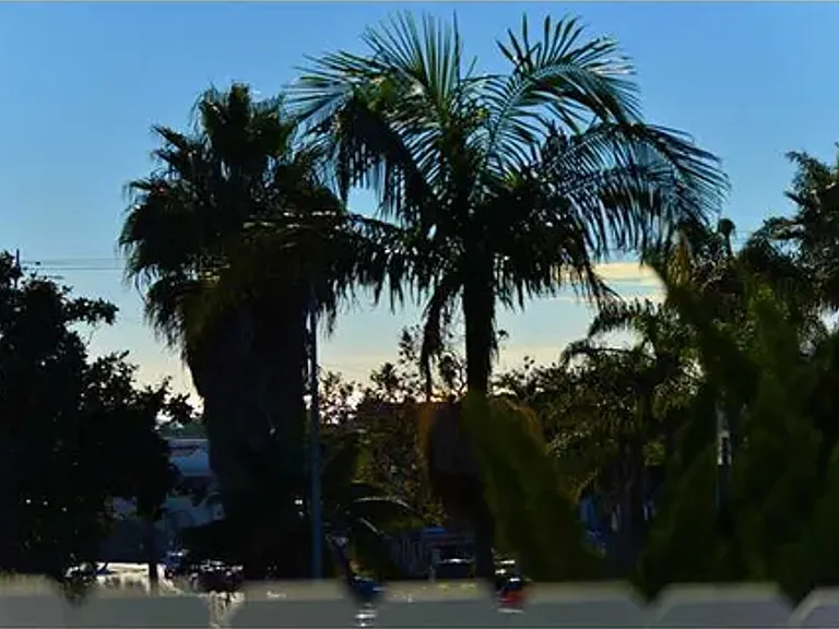 1249 Torrey Pines Rd — Photo 22