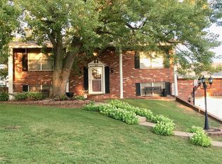1004 N Mill Dr, Festus, MO 63028