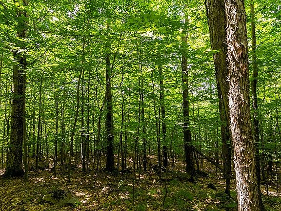 5th image of 2 Moose Hill Way