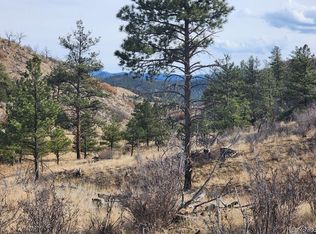 961 Shannon Trl, Cotopaxi, CO 81223
