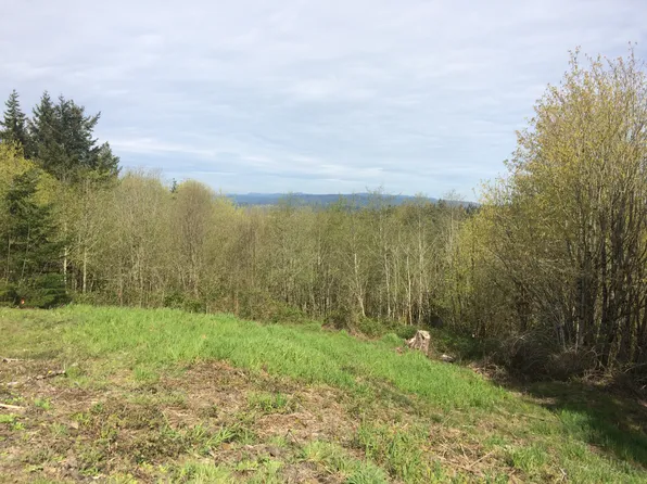 135 Tybren Heights Rd, Kelso, WA 98626