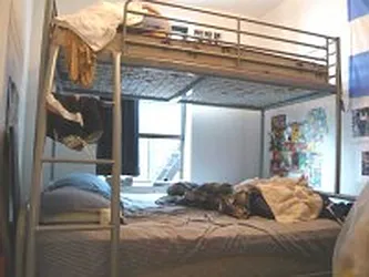 Rented by DSA Realty