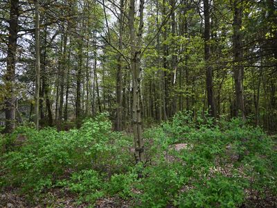 6th St, Twin Lake, MI, 49457