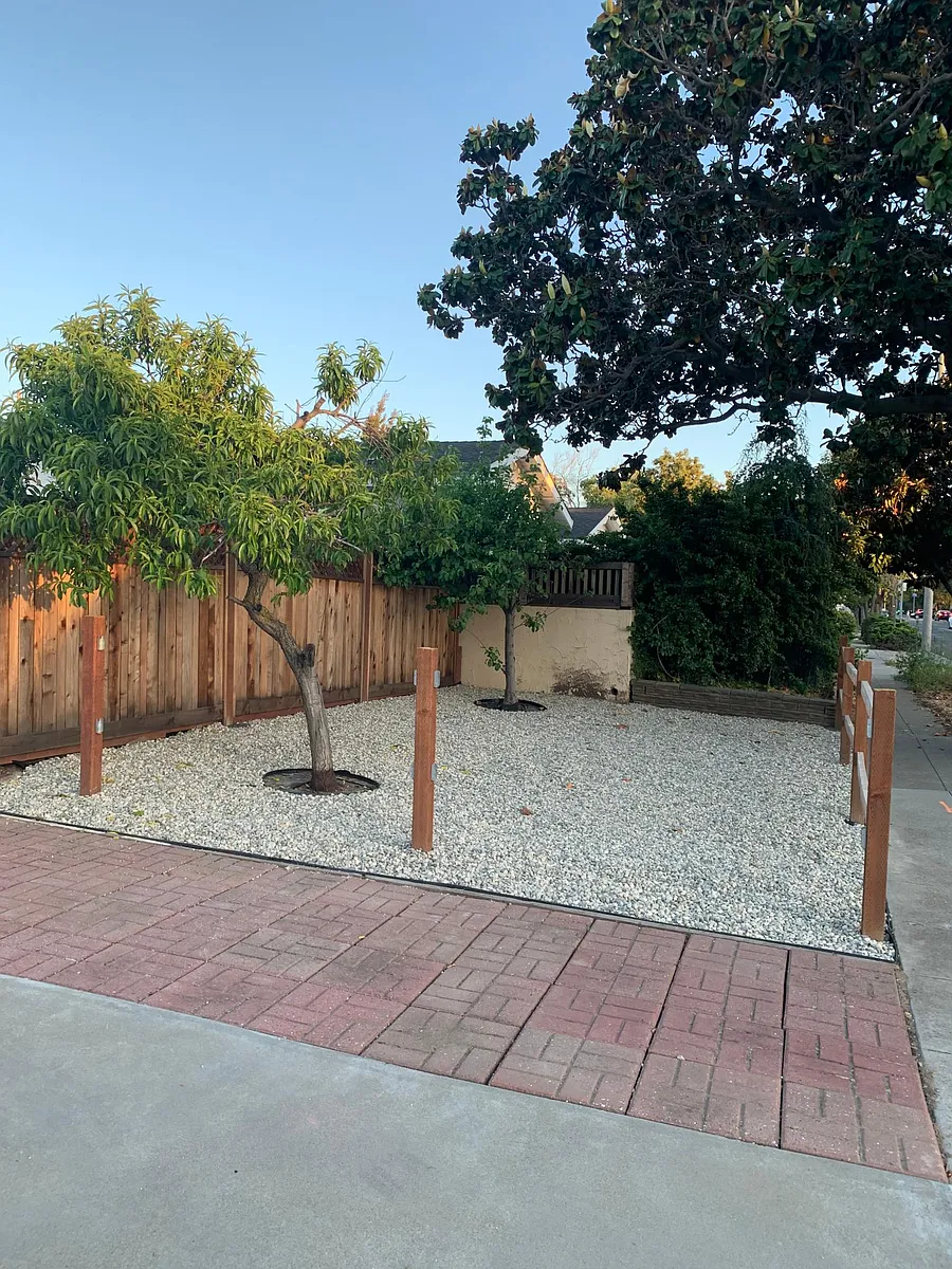 Front landscaping with peach and apple trees - 1676 S Wolfe Rd