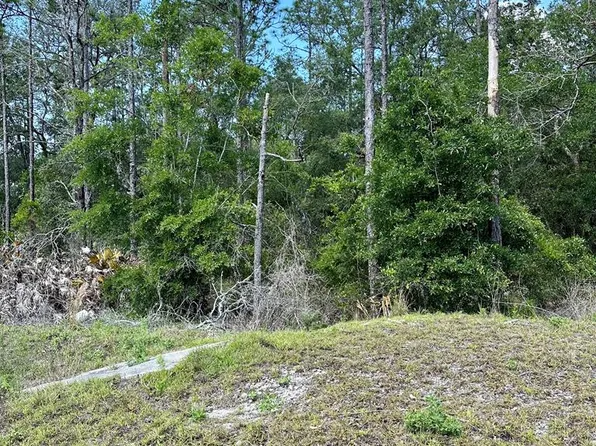 00 NE Willstone Way, Steinhatchee, FL 32359