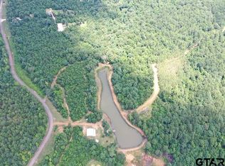 2409 County Road 2303, Lone Star, TX 75668