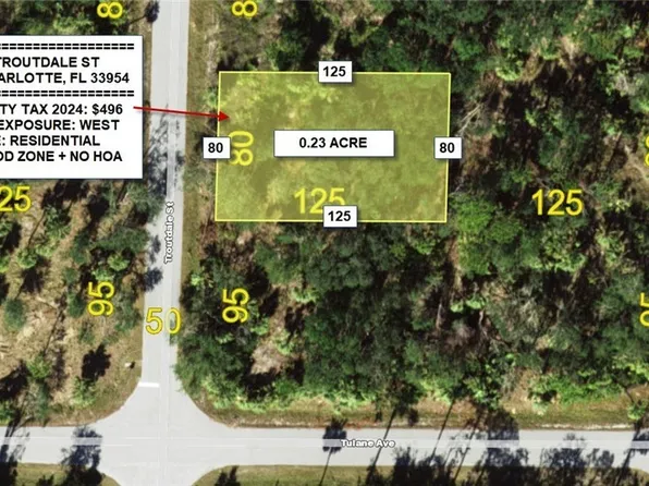378 Troutdale St, Port Charlotte, FL 33954