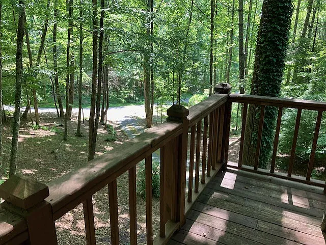 921 Black Branch Rd — Photo 5
