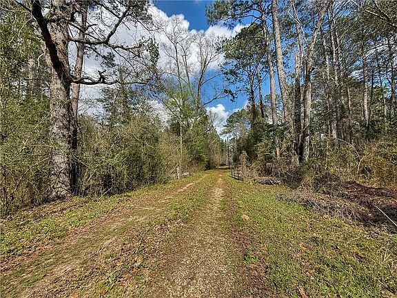 3rd image of 66350 Highway 1058