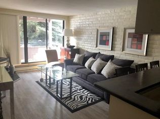 224 Vine St #224, Aspen, CO 81611
