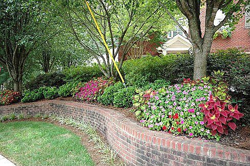 Front landscape. Entire yard has automatic zoned irrigation.