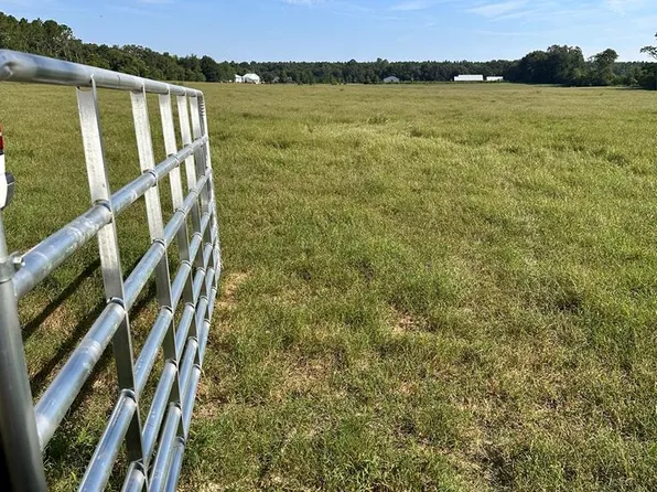 SE 95th Pl, Trenton, FL 32693