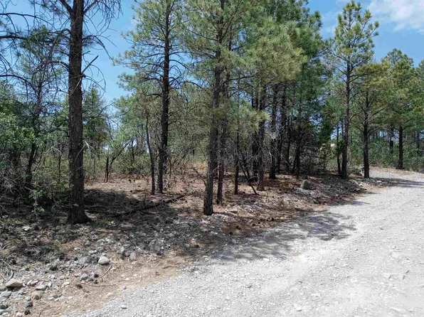 Cibola Dr, Timberon, NM 88350