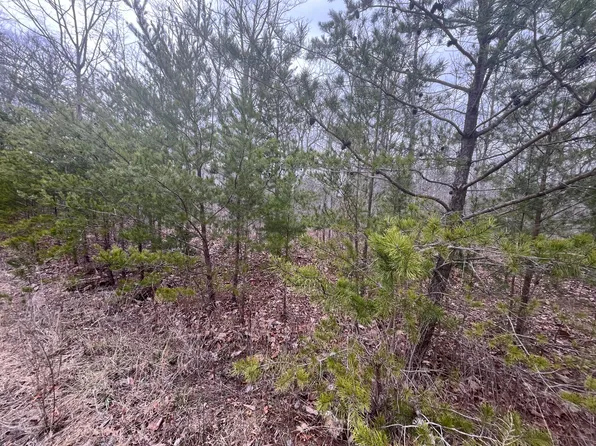 0 Maple St, Pikeville, TN 37367