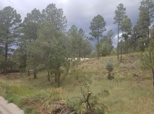 105 Ll Davis Dr, Ruidoso, NM 88345