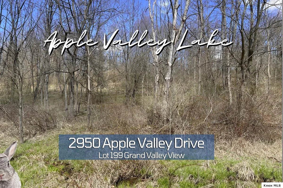 2950 Apple Valley Dr #199 photo 1