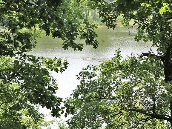 5th image of 79 Shoreline Cir