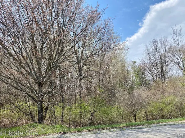 0 S Bonney Rd, Chase, MI 49623
