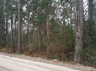 127 Aster Ave, Middleburg, FL 32068