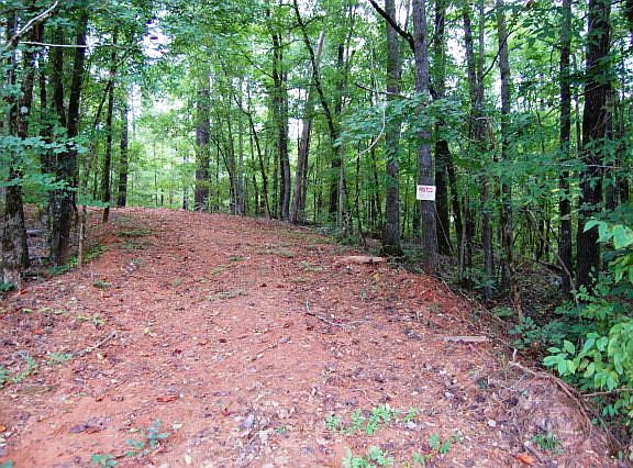 2nd image of 8016 Magnolia Falls Ct