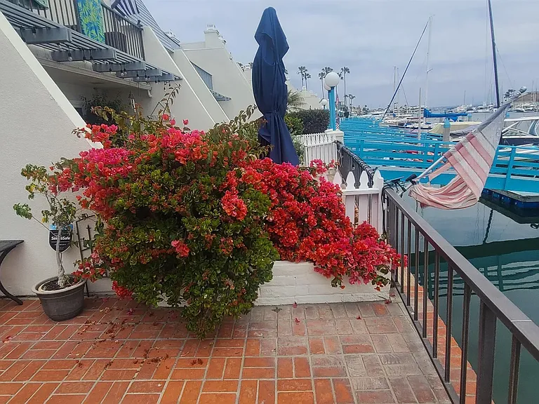 9 Antigua Ct — Photo 11
