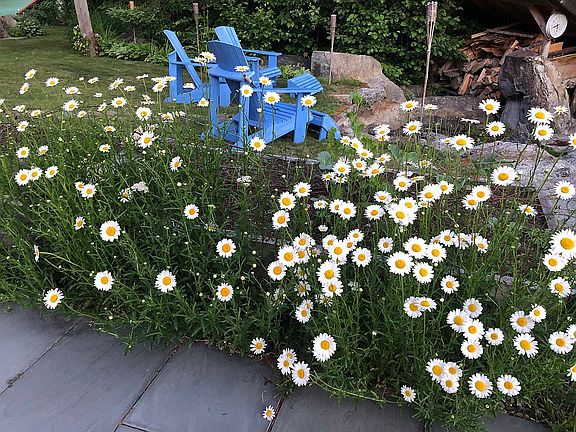 Fire pit/raised beds/patio