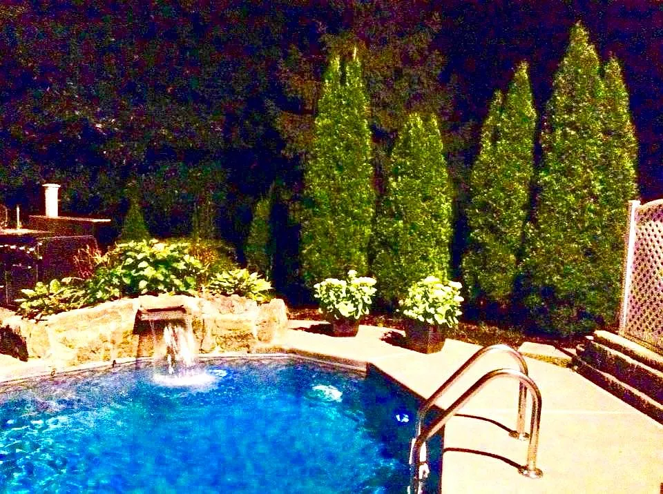 5 bed, $4,900 — Photo 4