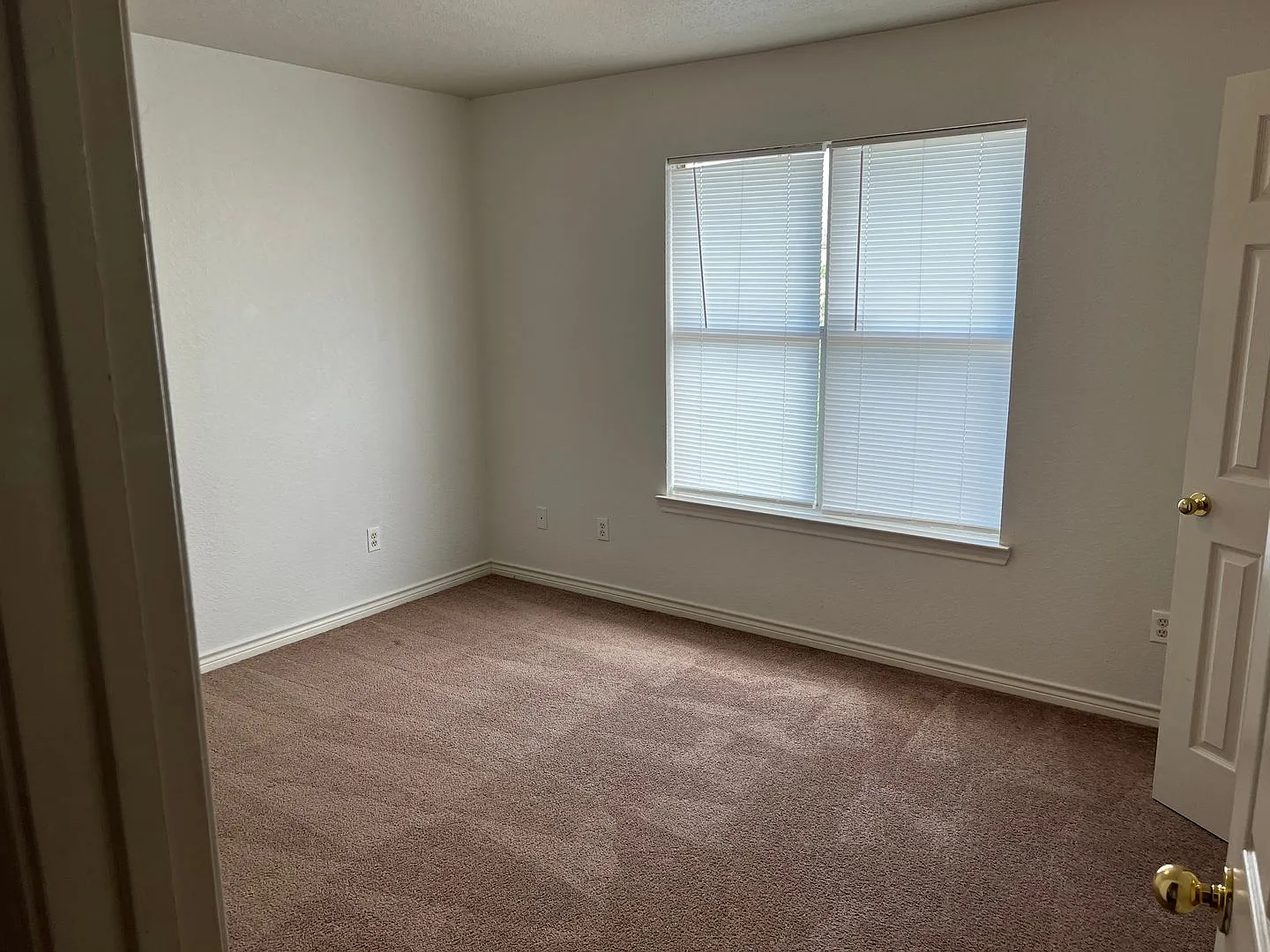 2517 Schwald Rd. — Photo 4