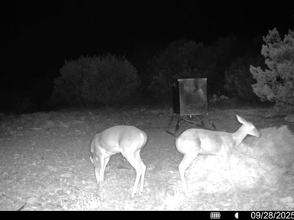 4th image of TBD SD 45453