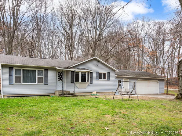 13454 Hendrickson St, Gowen, MI 49326