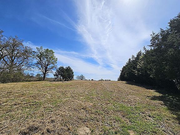 SOUTH VIEW FROM CREEK 