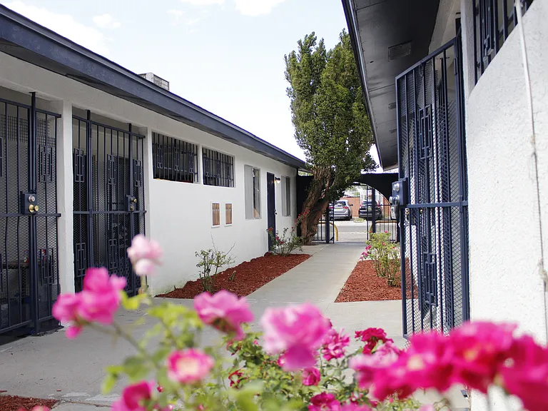 Renovated, Large UNM Area 2 Bed Apt w/ Washer / Dryer and Private Yard — Photo 14