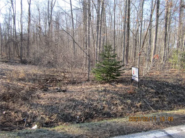Brakeman Rd, Chardon, OH 44024