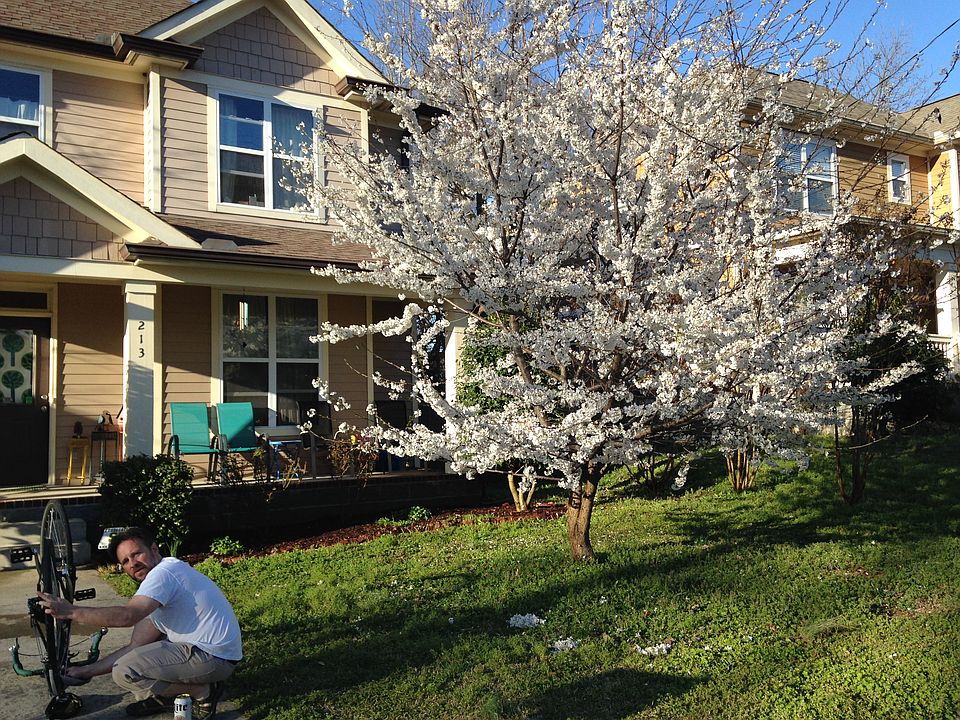 1st image of 213 Treutland Ave