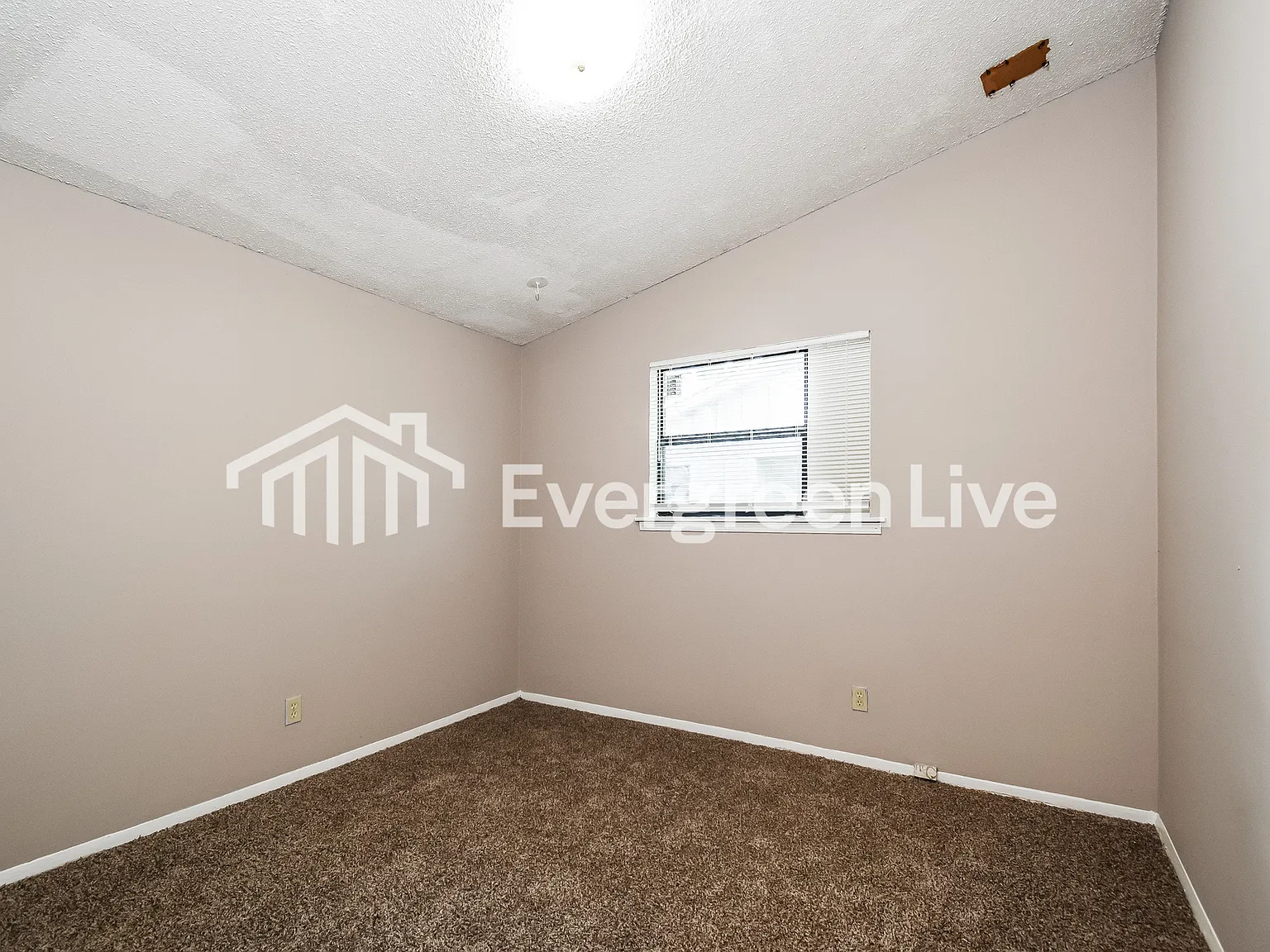 3 bed, 1.0 bath, 1420 sqft, $1,395 — Photo 3
