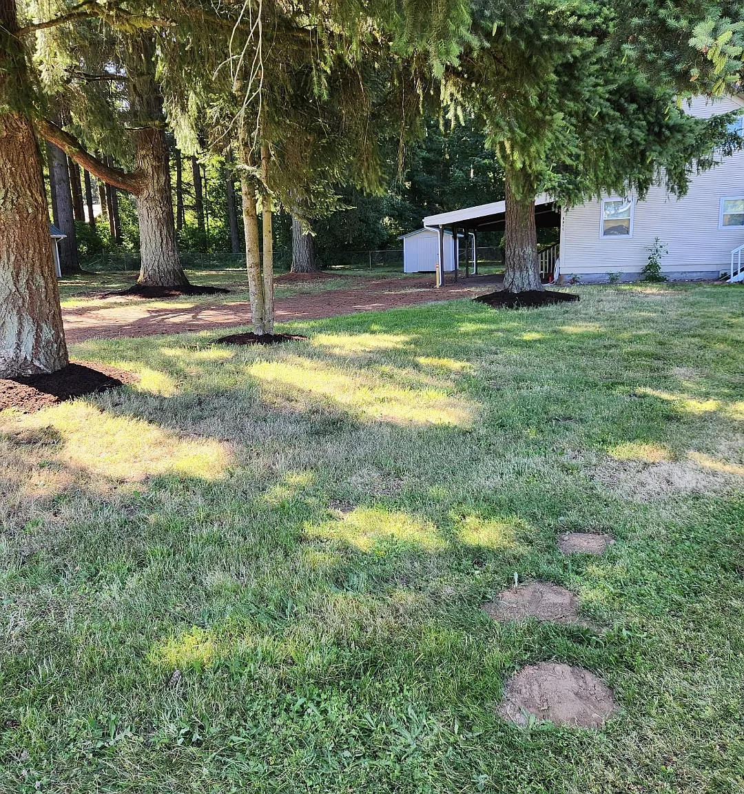 3 bed, 1.5 bath, 1664 sqft, $2,500 — Photo 3