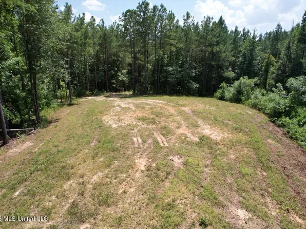 399 NE Dummyline Rd, Mc Call Creek, MS 39647