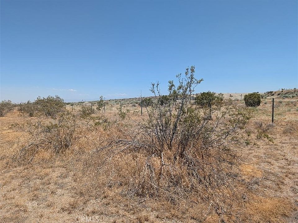 2nd image of 123 Dos Palmas Rd