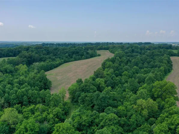 0 Pcr 439, Frohna, MO 63748
