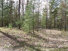 2nd image of 8848 Cedar Ridge Ln