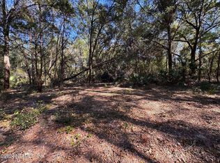 322 Huntington Shortcut Rd, Crescent City, FL 32112