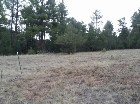 48 Pine Dr, Cotopaxi, CO 81223