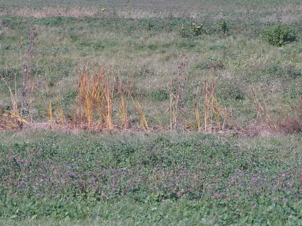 LOT 4 S Route 52 Rd, Manhattan, IL 60442