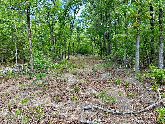 5th image of 284 Buckboard Rd